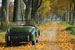Goldener Oktober